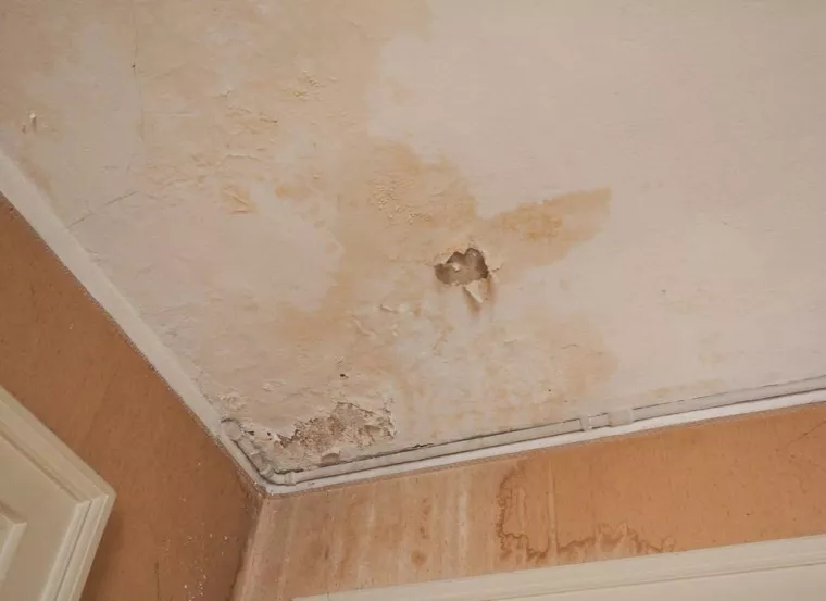 Comment nettoyer un appartement suite à un dégât des eaux qui vient du faux plafond ?, Lyon, AG PRO